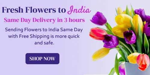 Fresh Flowers To India