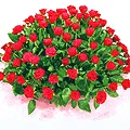 150 Red Dutch Roses Arrangement  and  Three Colourful Balloons with Medium Teddy