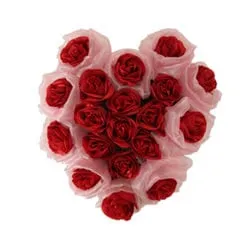 Cheerful 19 Durable Red Roses in Heart Shaped Framework