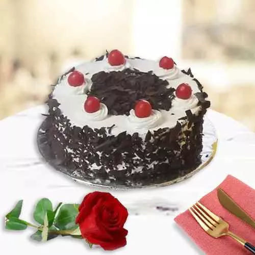 Send Black Forest Cake with Single Rose 