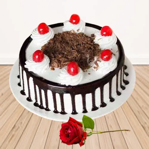 Send Eggless Black Forest Cake with Single Rose