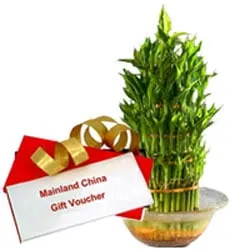 Marvelous Gift of Mainland China Gift Voucher for Loved Ones