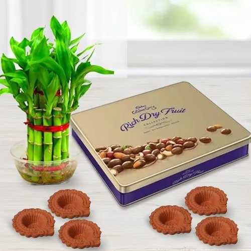 Eco Friendly Diwali Gift of Good Luck Bamboo Plants Cadbury Chocolates n Diya