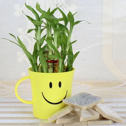 Impressive Gift of Smiley Mug decked with Bamboo Plant and Kaju Katli