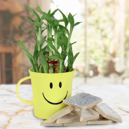 Yummy Kaju Katli N Lucky Bamboo in Smiley Mug