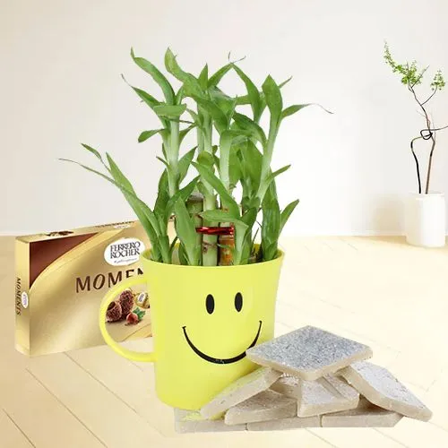 Sending Kaju Katli N Ferrero Rocher Moments with Bamboo Plant in Smiley Mug