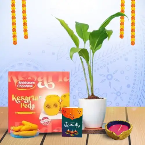 Diwali Serenity And Treats