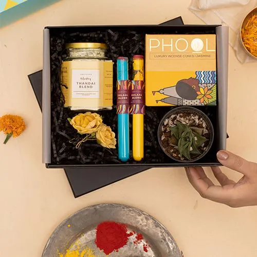 Colorful Holi Joy Bundle