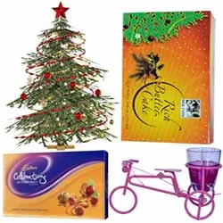 Ravishing Collection of Christmas Gift Items