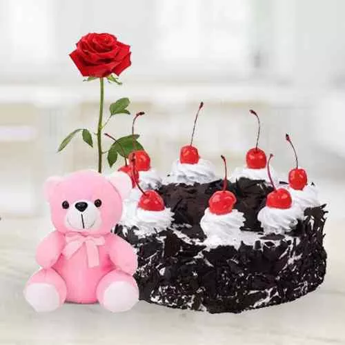 Yummy Black Forest Cake with Rose N Teddy