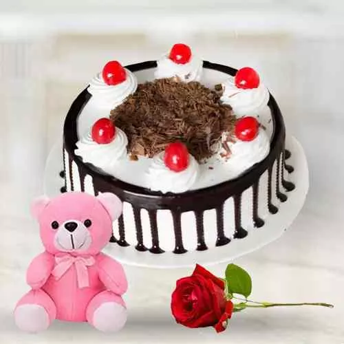 Order Black Forest Cake with Teddy N Red Rose