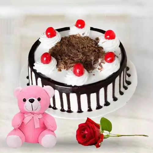 Order Black Forest Cake with Teddy N Red Rose 