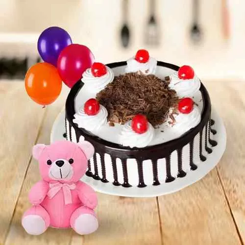 Blooming Single Rose with Black Forest Cake Teddy and Balloons