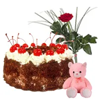 Yummy Black Forest Cake Teddy and Red Rose