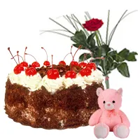 Shop for  Black Forest Cake, Teddy and Red Rose