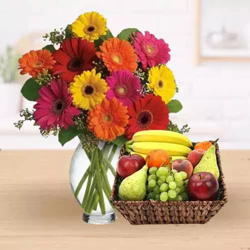 Premium Gerberas N Fresh Fruits