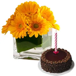 Send Chocolate Cake with Candles and Gerberas in Vase