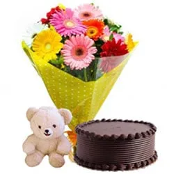 Deliver Selection of Chocolate Cake and Bunch of Gerberas with Soft Teddy