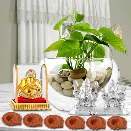 Good Luck Diwali Hamper of Money Plant Haldiram Sweets Idol n Free Diya