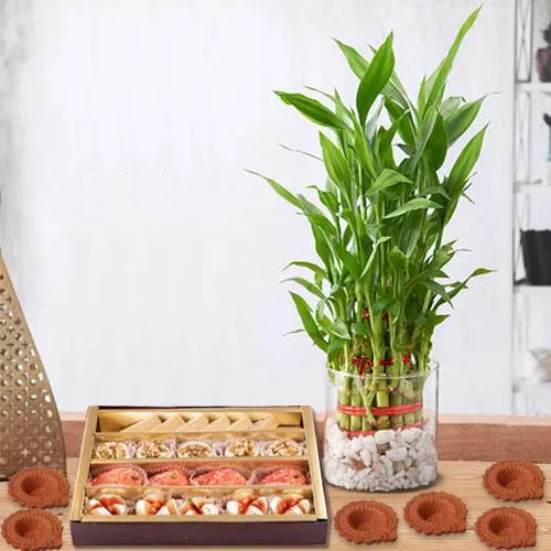 Assorted Sweets n Diya with 3 Tier Lucky Bamboo