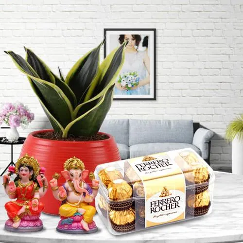 Ferrero Rocher N Ganesh Laxmi Idol with Milt Sansevieria Plant