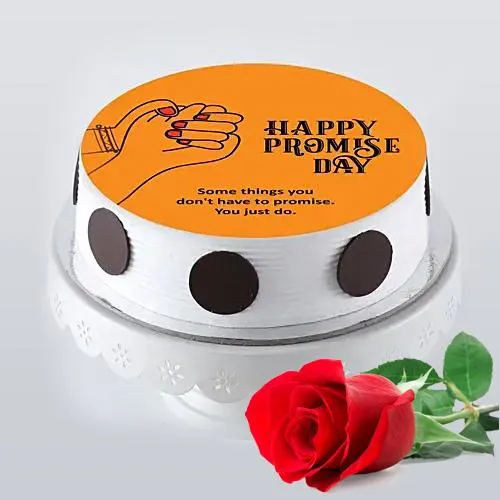 Adorable Gift of Vanilla Flavor Photo Cake with Single Red Rose