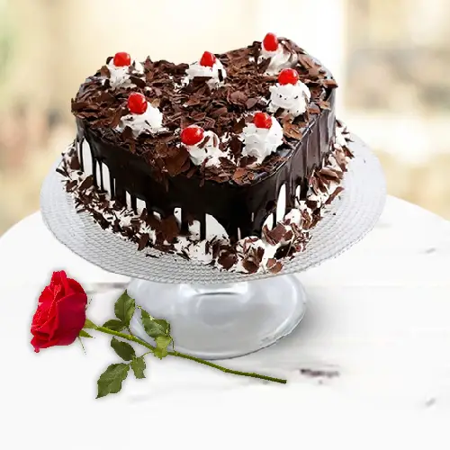 Delicious Black Forest N Rose Fantasy