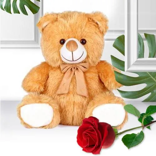 Wonderful Plush Teddy N Premium Single Rose V-Day Gift Combo