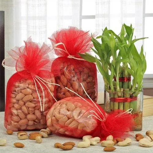 Send Ravishing Assorted Dry Fruits with Two Tier Bamboo Plant