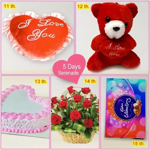 Send Valentine Gift of 5 Day Serenades for Lady Love