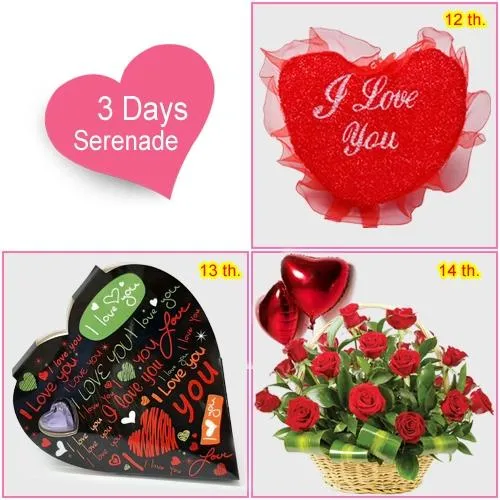 3 Day Serenade for your Sweetheart