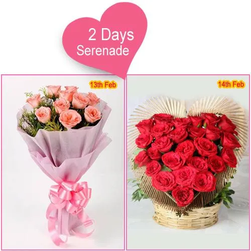 Enthralling Pink N Red Rose Serenade Gift for 2 Days