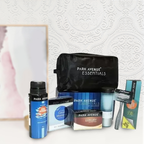 Exclusive Park Avenue Mens Essential Kit