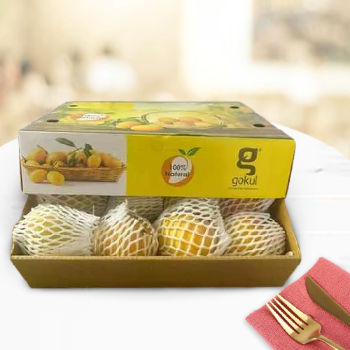 Nourishing Alphonso Mango Cart Nourishing Alphonso Mango Cart