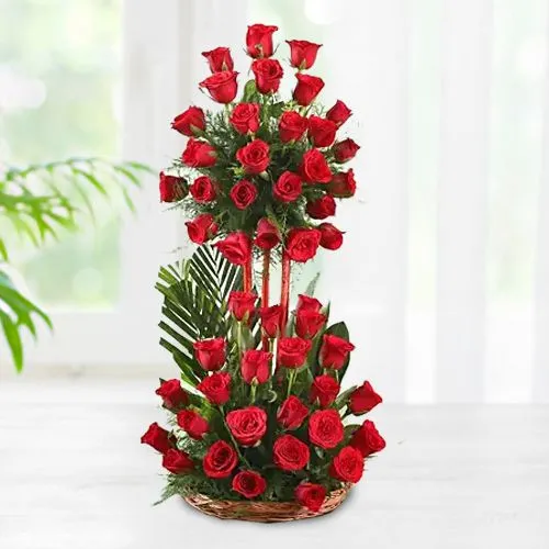 Scintillating Arrangement of 50 Red Roses in Cane Basket