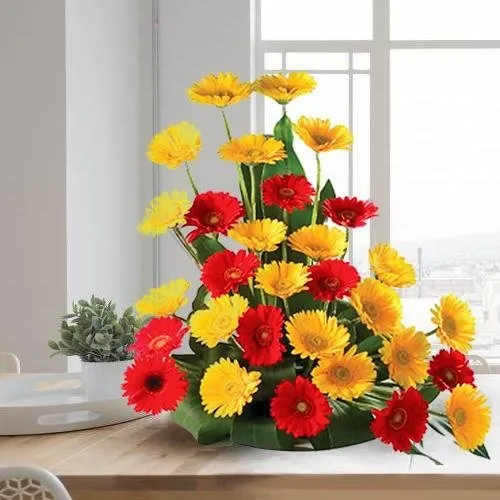 Deliver Mixed Gerbera Arrangement for Mothers Day 