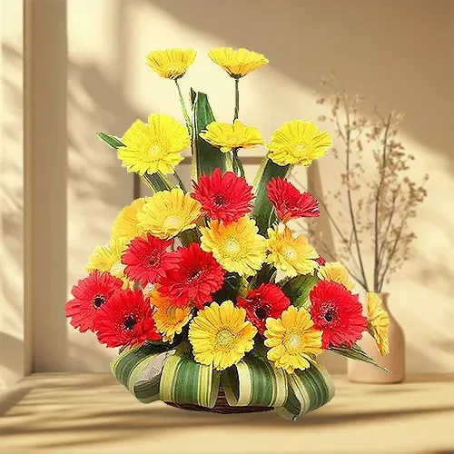 Shop Assorted Gerberas Arrangement with Cadbury Celebration Pack