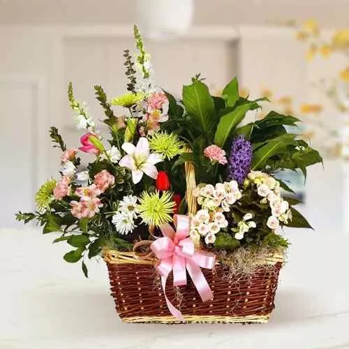 Gift of Mixed Flowers Arrangement