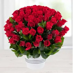 Send Dutch Roses Arrangement
