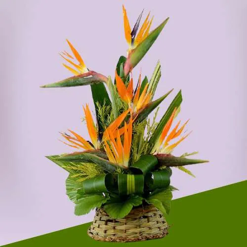 Delightful Basket of Birds of Paradise