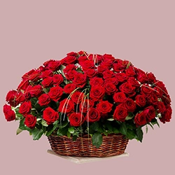 Brilliant Dutch Roses Arrangement