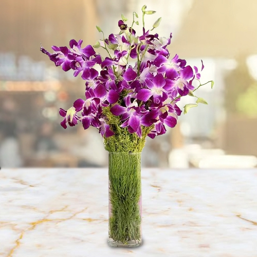 Send Fresh Orchids in Vase with Assorted Cadburys Chocolate