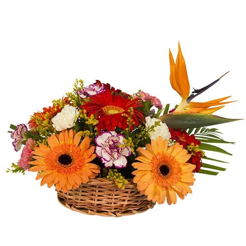 Basket of Floral Delight