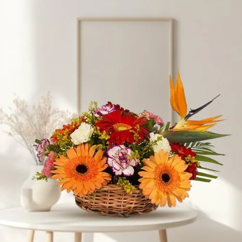 Lovely Basket Arrangement of Carnations and Gerberas