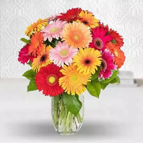 Send Gerberas in Vase with Assorted Sweets