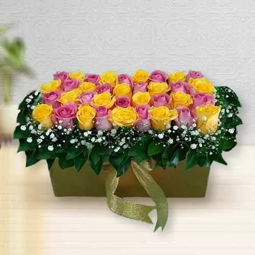 Shop Bed of Pink n Yellow Roses in Box