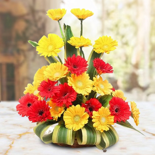 Mixed Color Roses in a Vase