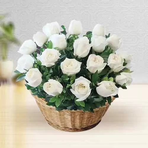 Send Pure White Roses in Basket