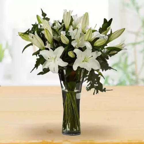 Moonlight White Asiatic Lily in Vase