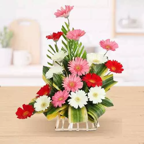 Special Arrangement of 7 Gerberas Designer to India.